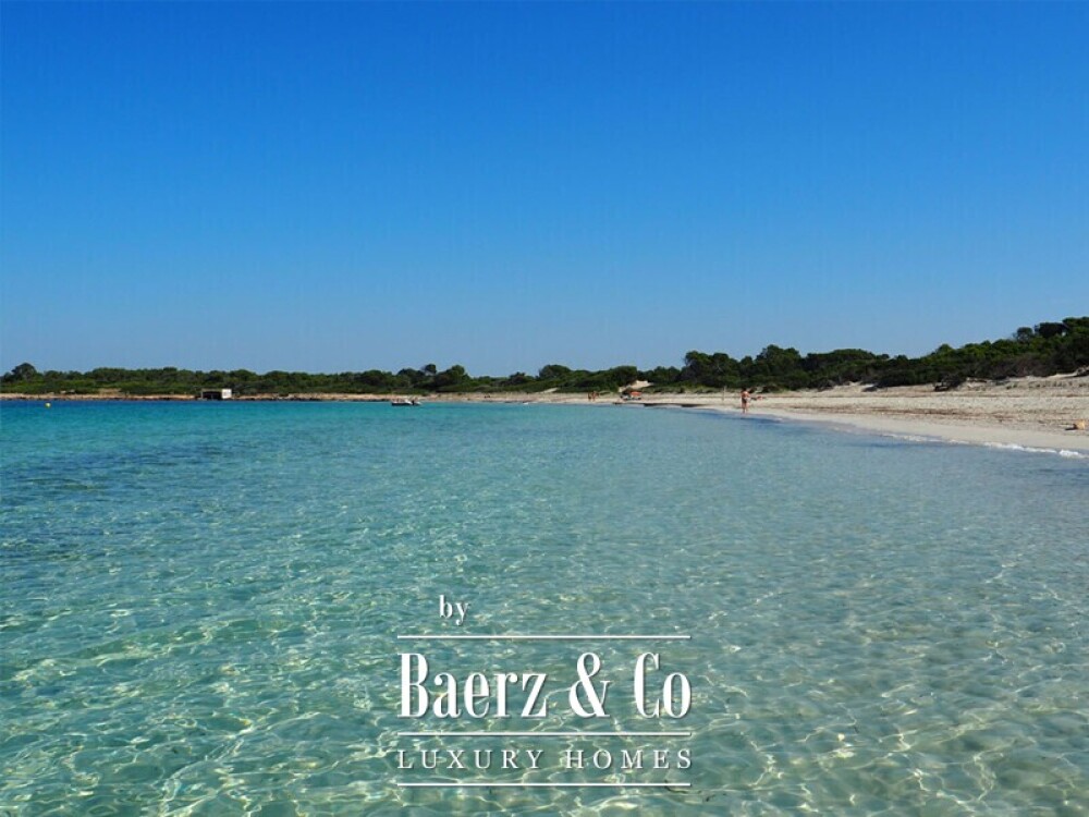 Foto 8 1000w